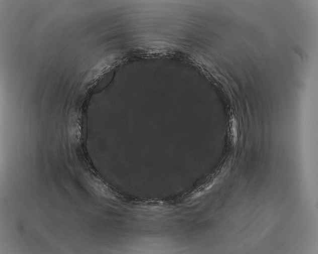 X0000113260916200910011404