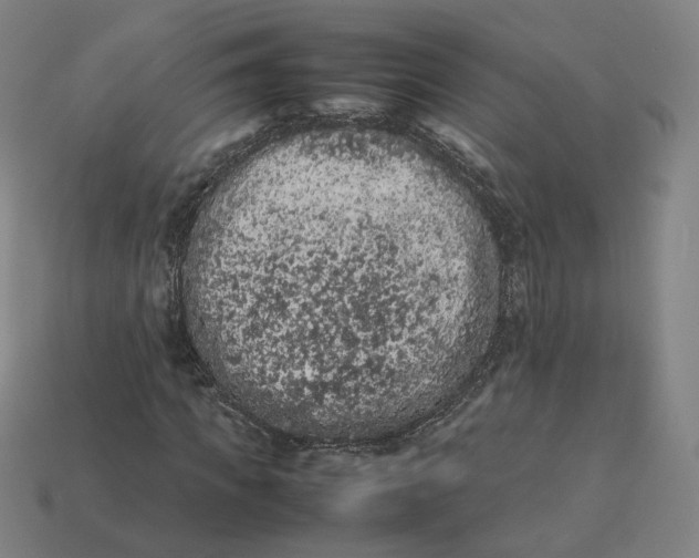 X0000113260917200910011404