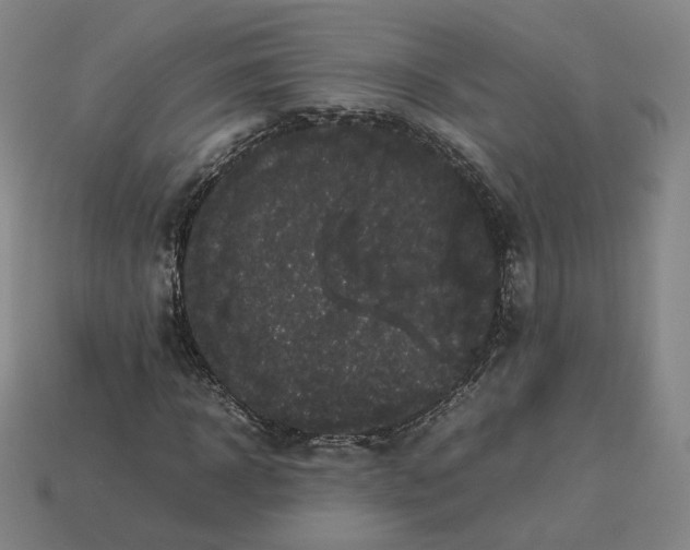 X0000113260918200910011404