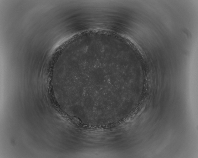 X0000113260919200910011404