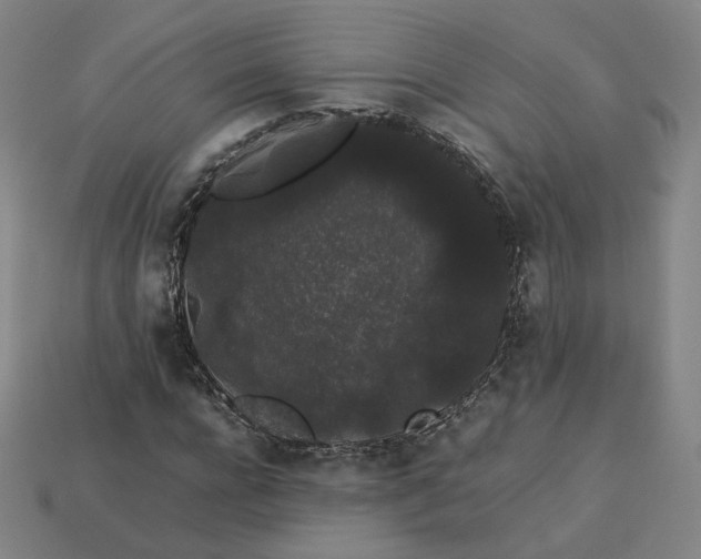 X0000113260920200910011404