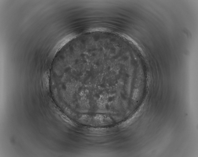 X0000113260921200910011404