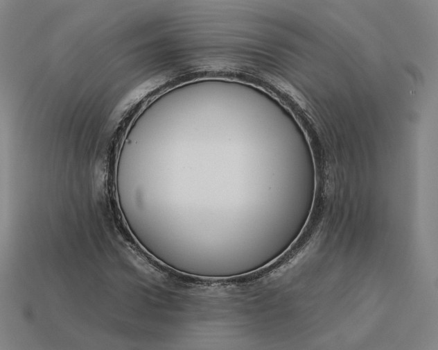 X0000113260922200910011404