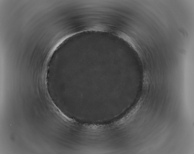 X0000113260923200910011404