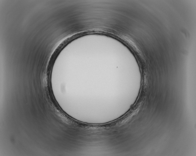 X0000113260924200910011404