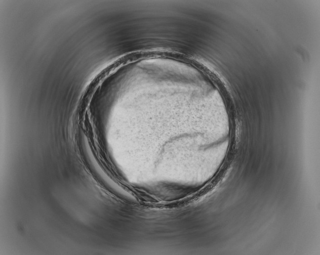 X0000113260925200910011404