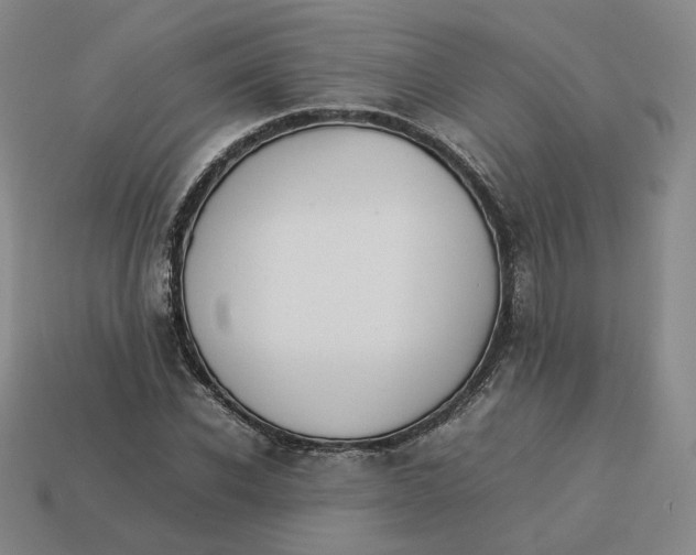 X0000113260926200910011404