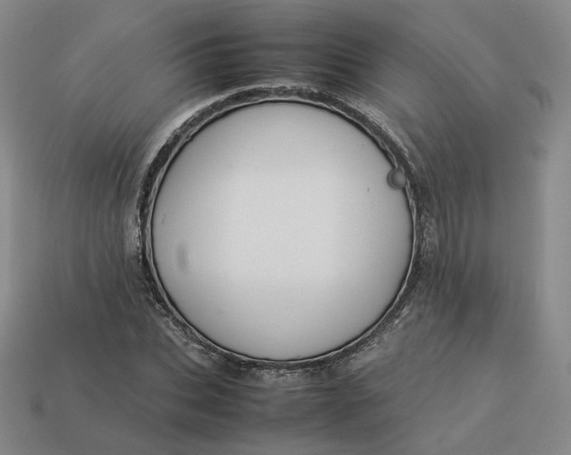 X0000113260927200910011404