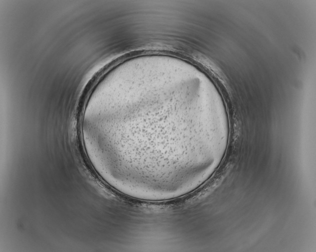 X0000113260928200910011404