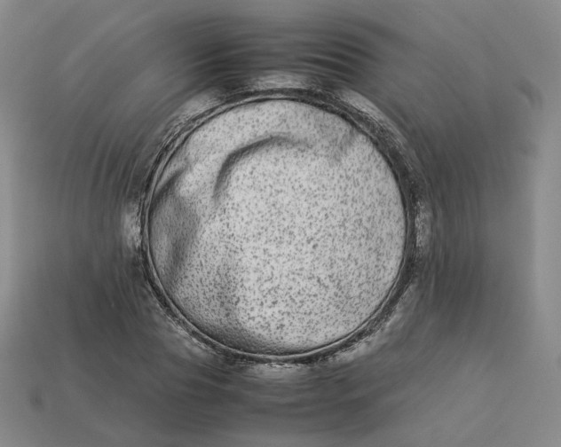 X0000113260929200910011404