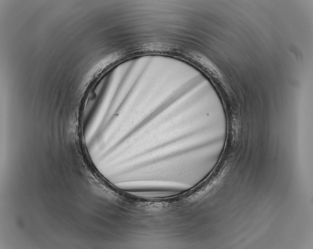 X0000113260930200910011404