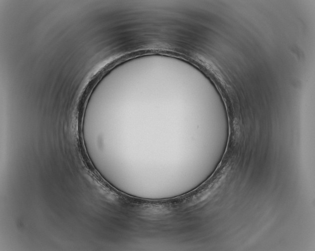 X0000113260931200910011404