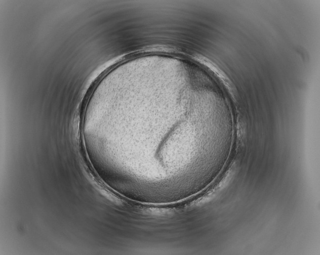 X0000113260933200910011404