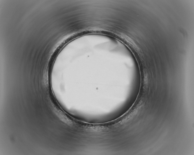 X0000113260934200910011404