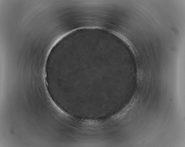 X0000113260935200910011404