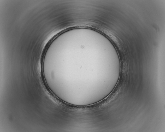 X0000113260936200910011404