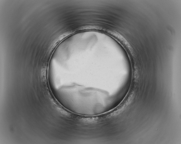 X0000113260937200910011404