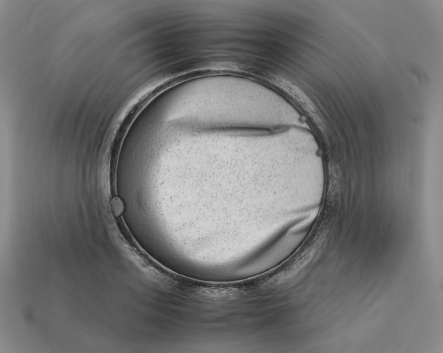 X0000113260939200910011404