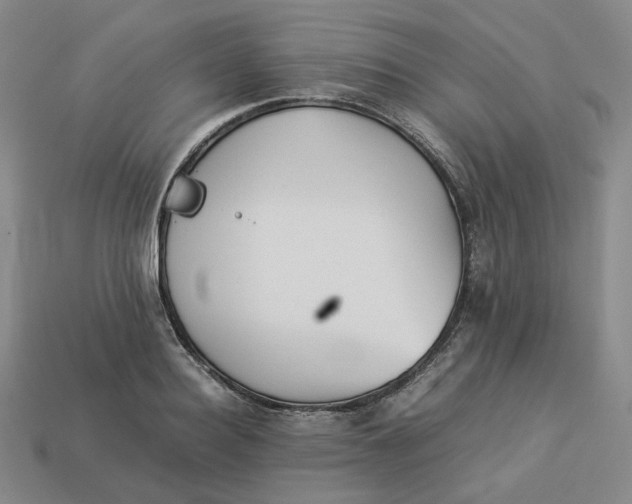 X0000113260940200910011404