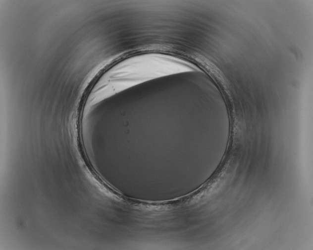 X0000113260941200910011404