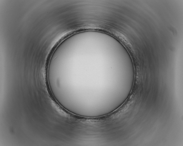 X0000113260942200910011404