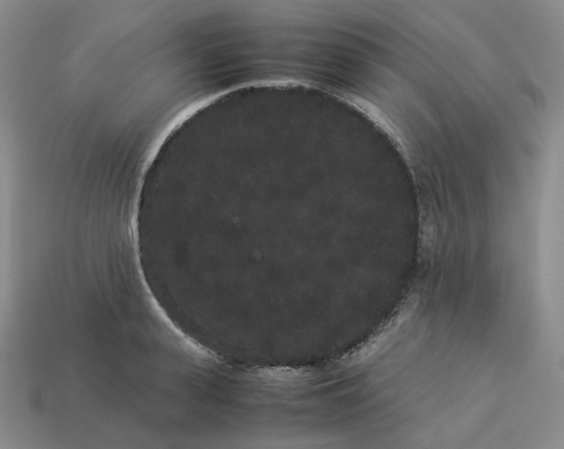 X0000113260943200910011404