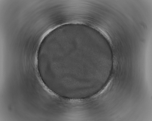 X0000113260944200910011404