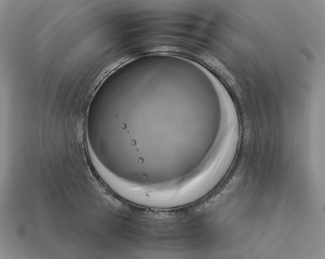 X0000113260945200910011404