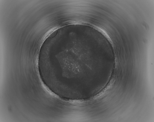 X0000113260946200910011405