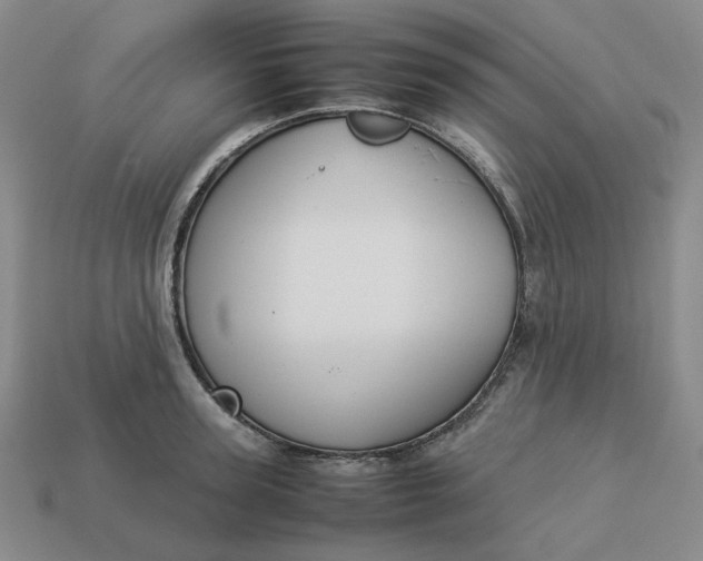 X0000113260947200910011405