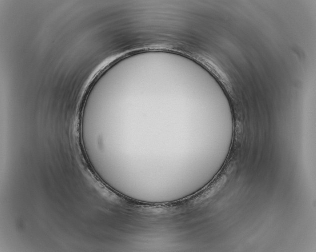 X0000113260948200910011405