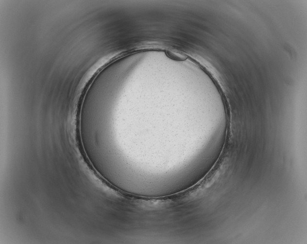 X0000113260949200910011405