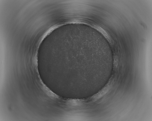 X0000113260950200910011405