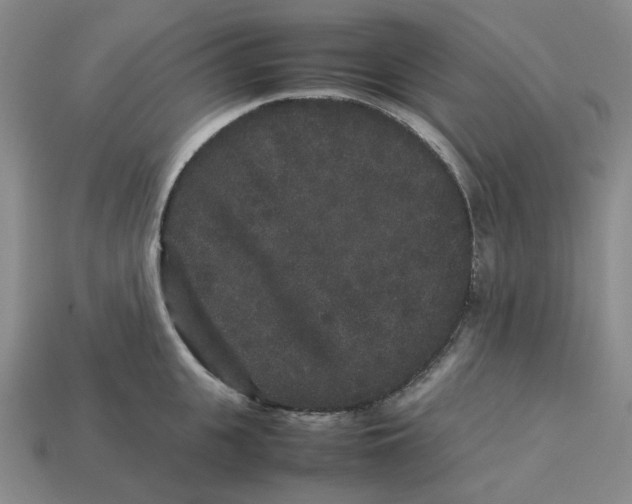 X0000113260951200910011405