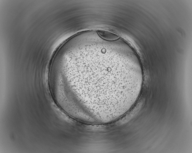 X0000113260952200910011405