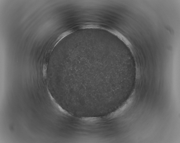 X0000113260953200910011405