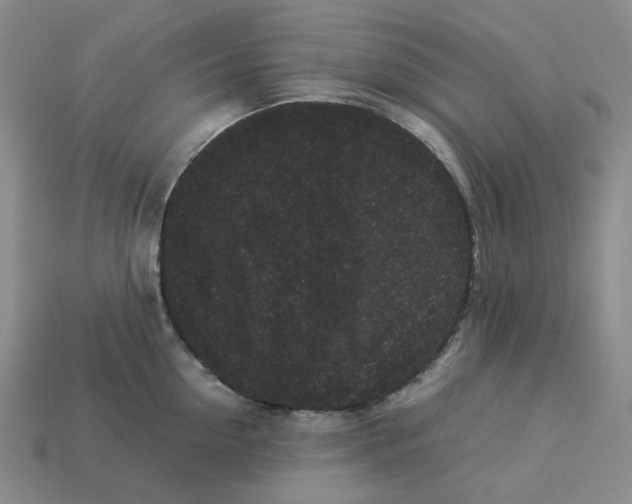 X0000113260954200910011405