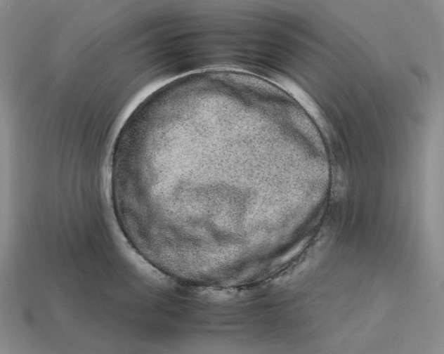 X0000113260955200910011405