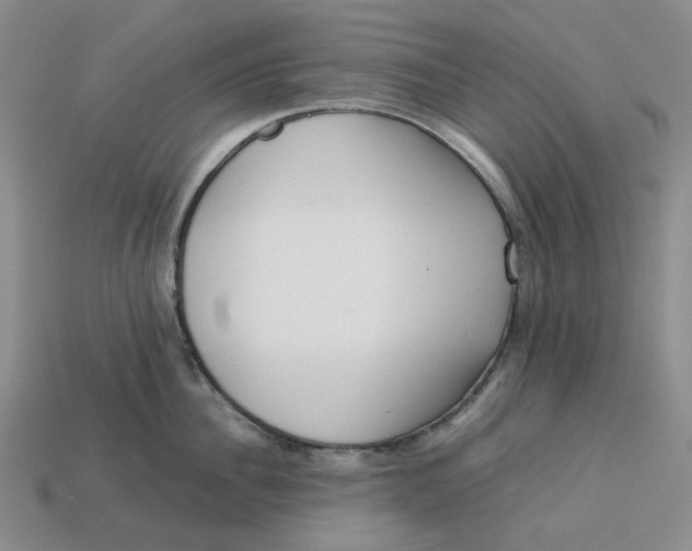 X0000113260956200910011405