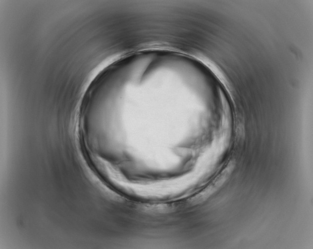 X0000113260957200910011405