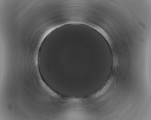 X0000113260958200910011405