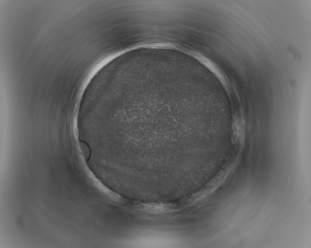 X0000113260959200910011405