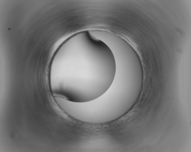 X0000113260960200910011405