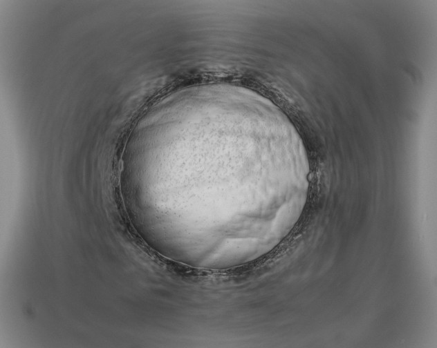 X0000113260961200910011404