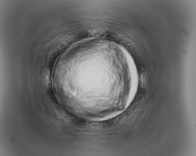 X0000113260963200910011404