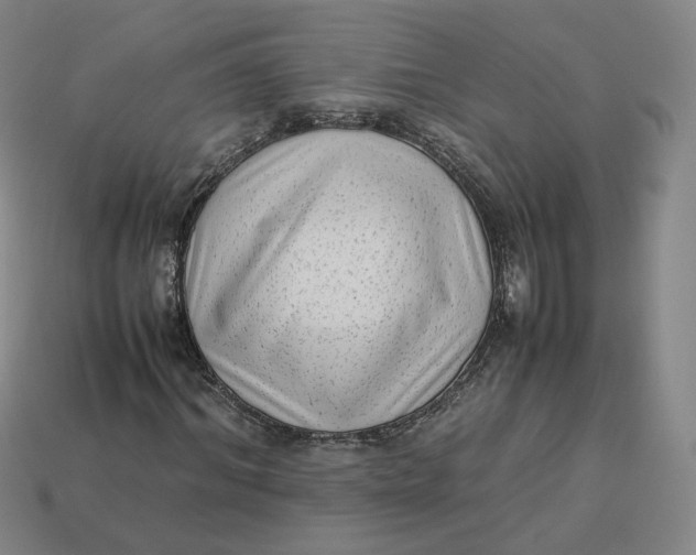 X0000113260964200910011404