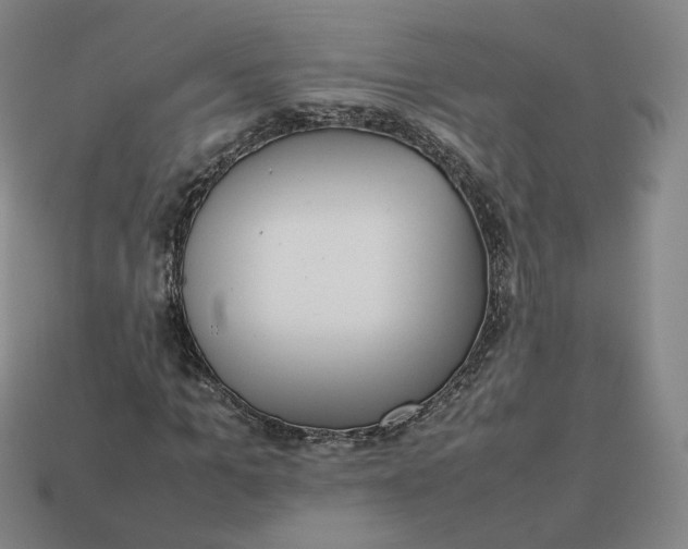 X0000113260965200910011404