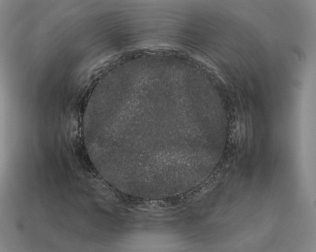 X0000113260966200910011404