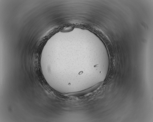 X0000113260968200910011404