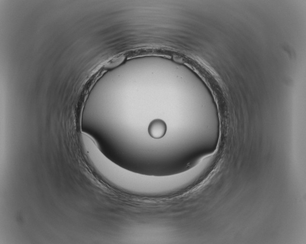 X0000113260969200910011404